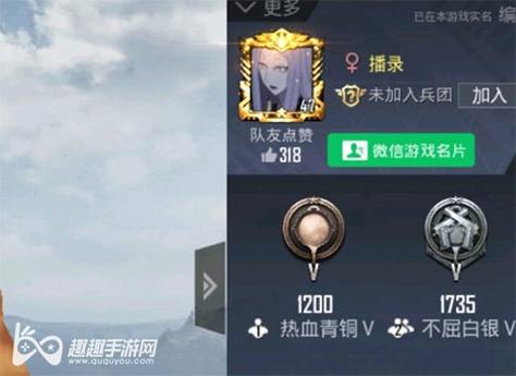 揭秘和平精英辅助工具的真相：你真的需要它吗